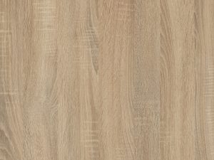 H1146 ST10